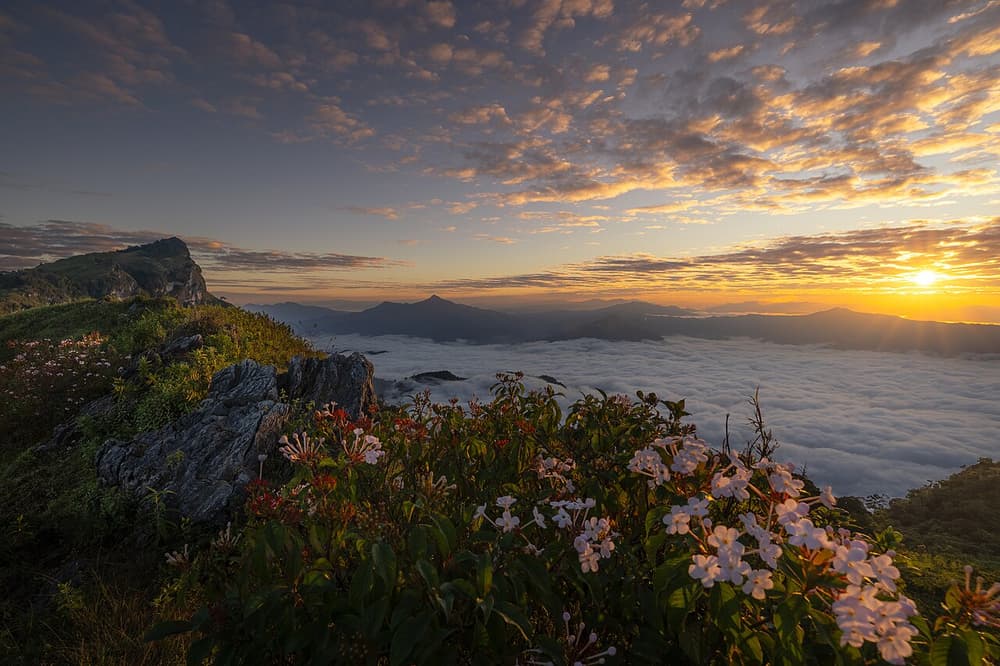Sea of fog at Phu Chi fa National Park