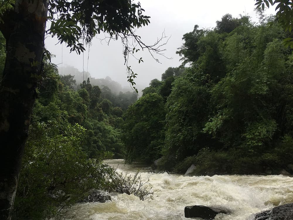 Randonnée dans la jungle de Khao Sok, radeau sur la rivière et point de vue, depuis Khao Lak