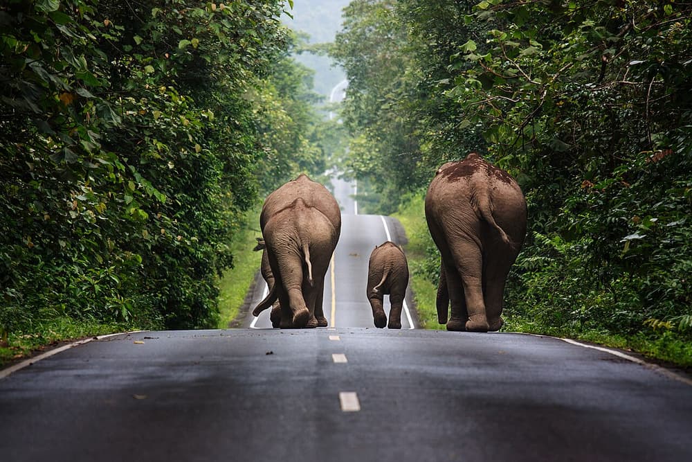 Visite privée de Khao Yai en 2 jours depuis Bangkok
